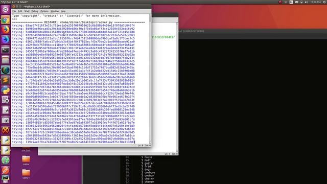 Python Hash Cracking
