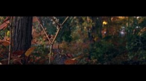 Black Magic Micro Studio 4K  Camera- Test Footage