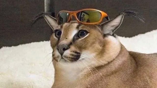 Forever Young Boy - Про Шлёпу смотреть онлайн