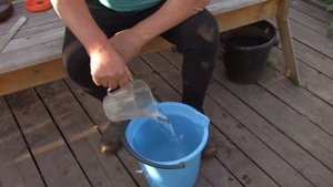 Борная кислота и обрабатываю помидоры и огурцы.