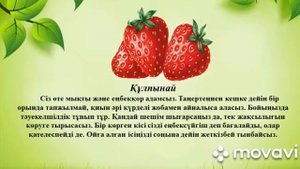 Отбасы бақыты. Ата-аналарға арналған тренинг