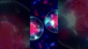 голодание как правильно выходить и что кшать при выходе из голода