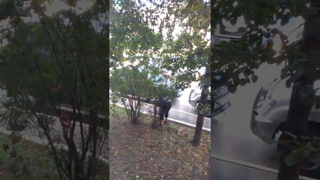 Искатель закладки