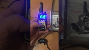 Электронный ошейник для собак P880