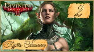 Divinity: Original Sin II ★ 2: Кораблекрушение