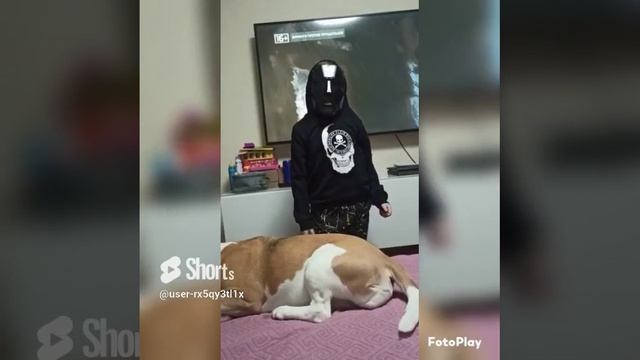 трансформация.mp4
