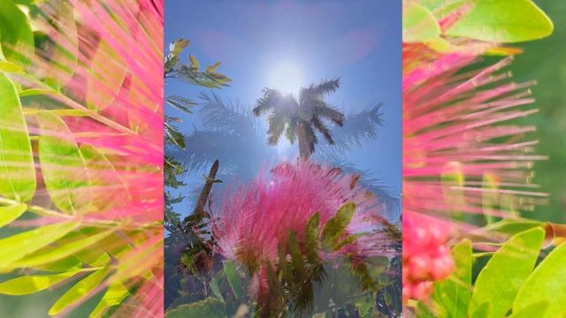 ? Синички в Египте 2 и 3 апреля 2021 ФОТО чуть-чуть смотреть онлайн