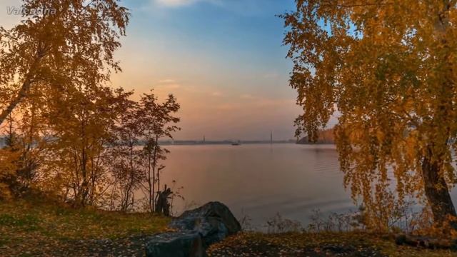 г. Брянск, ГДК им.Д. Н. Медведева смотреть онлайн