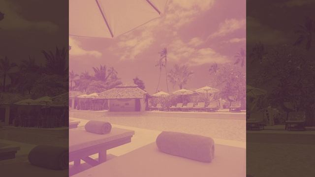 Звуки Рестораны