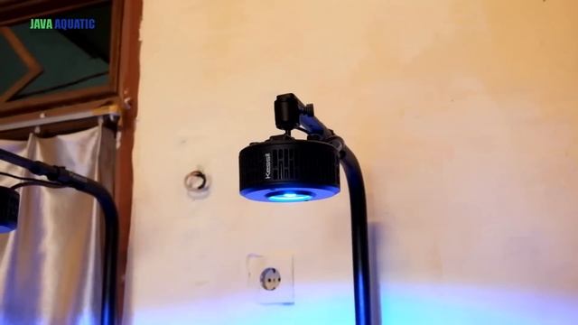 GREBEK TOKO DI SEMARANG - BANYAK PRODUK JAVA DISINI! смотреть онлайн