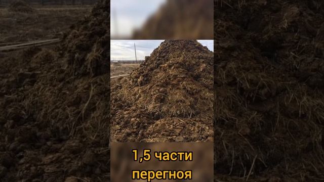 Лучший рецепт почвы для арбуза, дыни и огурца