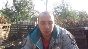 Взвешиваем трехмесячных утят мускусной утки. Полезные советы на осень!