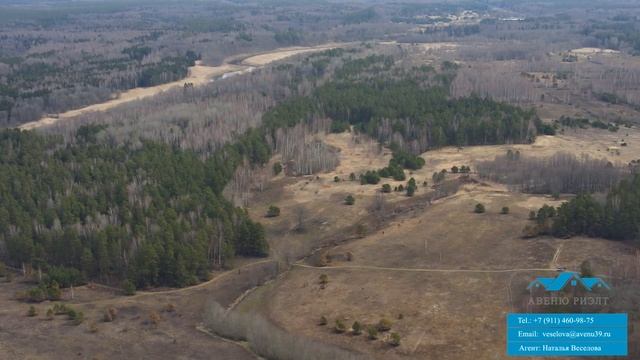 ЗЕМЕЛЬНЫЙ УЧАСТОК ДЛЯ ВАШИХ ИНВЕСТИЦИЙ в Краснознаменском районе смотреть онлайн
