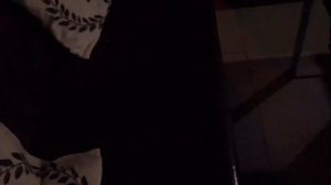 Как прошел мой ПЕРВЫЙ день в УНИВЕРСИТЕТЕ? Посвящение в первокурсники и тусовка с одногруппниками