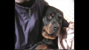 Я потихонечку спиваюсь.