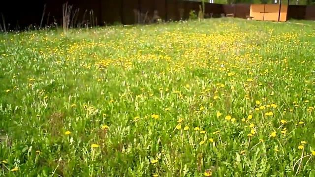 ручной культиватор видео смотреть смотреть онлайн