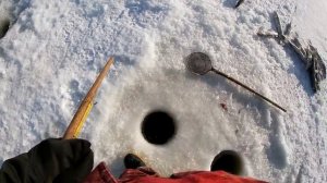 Щуки валом. Рыбалка на махалку на реке Амур. Зима 2024 ловля щуки