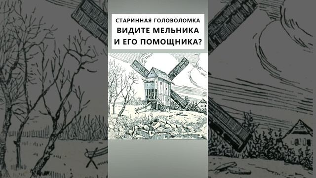 Сможете найти мельника и его помощника? #головоломки#оптическаяиллюзия