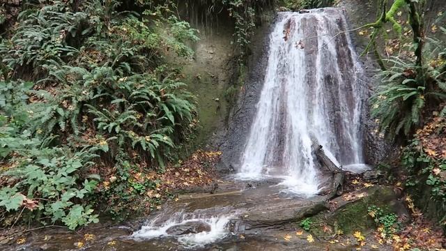 Canon PowerShot G7 X waterfall sample video смотреть онлайн