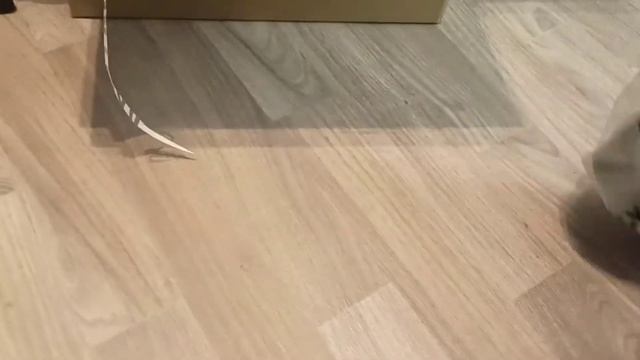 Анбоксинг #вэйдерсов #FINNTRAIL смотреть онлайн