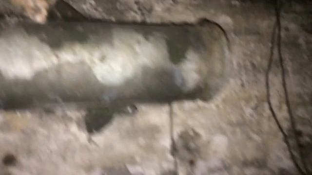 Медное озеро. Остров Большой. 31.05.2015 смотреть онлайн