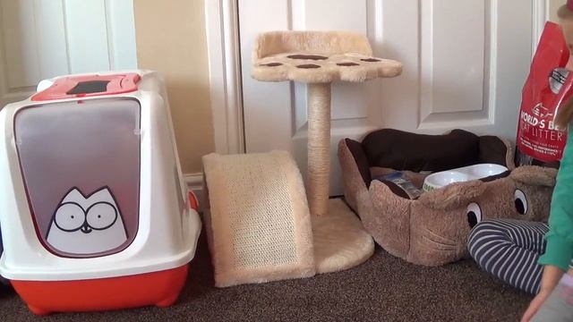 ПОКУПАЕМ ПИТОМЦА ? Что нужно котёнку? Готовимся к покупке котёнка!!!