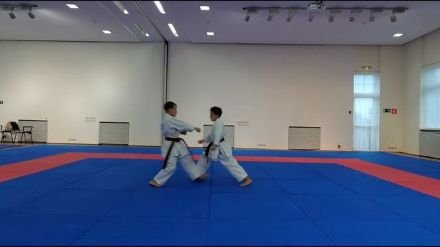 Кихон Санбон Кумитэ на синий пояс 5 кю смотреть онлайн