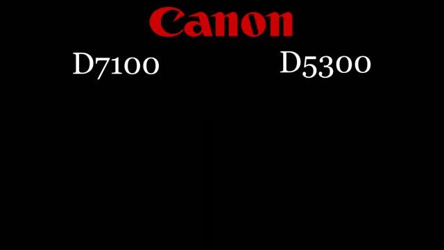 Canon D7100 vs Canon D5300 смотреть онлайн