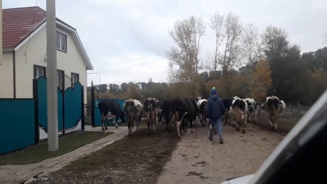 Кто ХОТЬ РАЗ в жизни провёл один из таких дней в деревне тот ЛАЙКАНЁТ ... смотреть онлайн