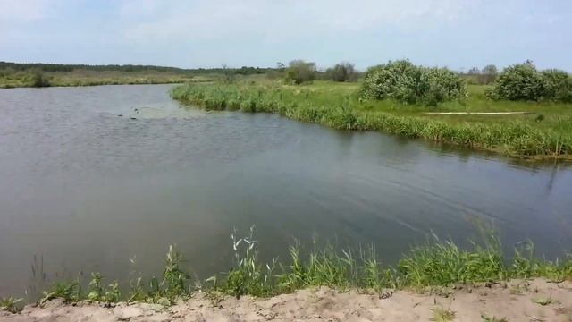 Озеро Чепкуль возле Дувановского песчанного карьера, Тюмень рыбалка