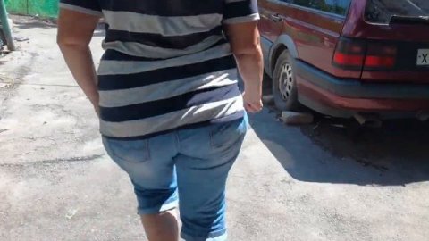 Гуси - Холмогоры и Линда. / geese Holmogory and Linda /