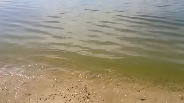 Река Казанка в городе Казань