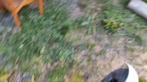 Обзор испытание аккум болгарка BOSCH GWS 12V-76 Угловая шлифмашина Professional 06019F2000