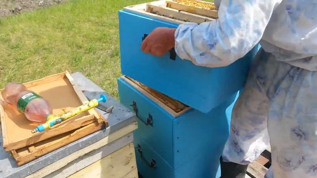 Ставлю третьи корпуса/Продолжаем наращивать пчелу. смотреть онлайн