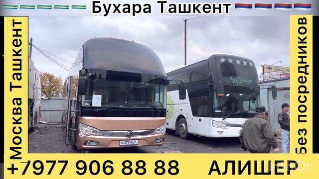 Москва Ташкент автобус Россия Узбекистан автобус#россия ￼