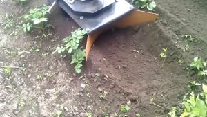 Окучивание картофеля лоплош
