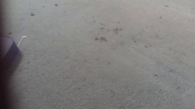 mes max et lili смотреть онлайн