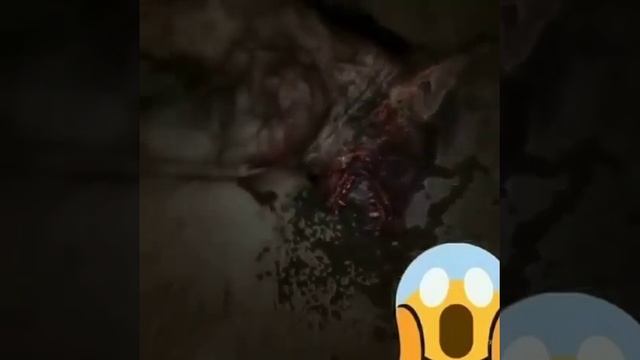 что это такое Новое существо голова волк тела человек напишите. что это кто знает смотреть онлайн