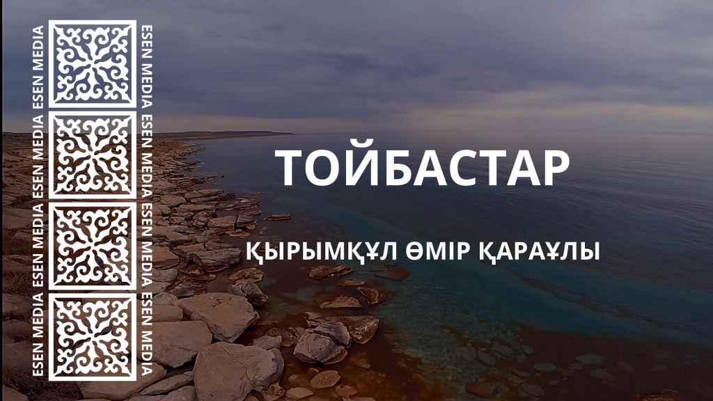 ТОЙБАСТАР | ӨМІР ҚАРАҰЛЫ