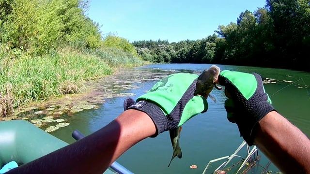 Не красота а КРАСОТИЩЕ. Давно так не РЫБАЧИЛ. Рыбалка на примитивную снасть "на всплеск". смотреть онлайн