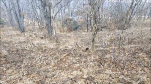ОСТРОВ РУССКИЙ ПРИБОРНЫЙ ПОИСК №1