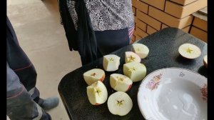 Когда собирать яблоки на хранение. Зимние сорта яблок. Летние сорта яблок. Саженцы плодовых деревье