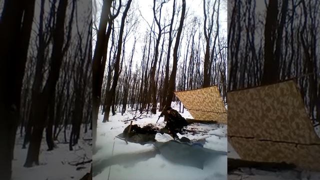 Организация дневки зимой смотреть онлайн