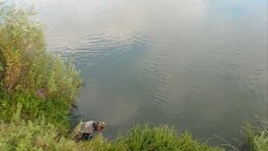 Заброс донки.