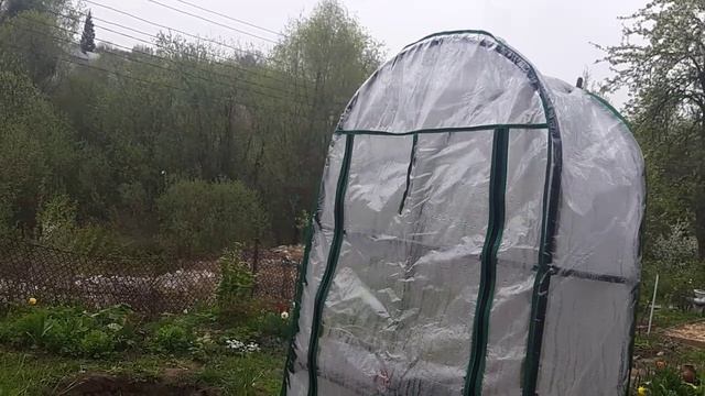 Купила тепличку . Мечты должны сбываться. 1 часть