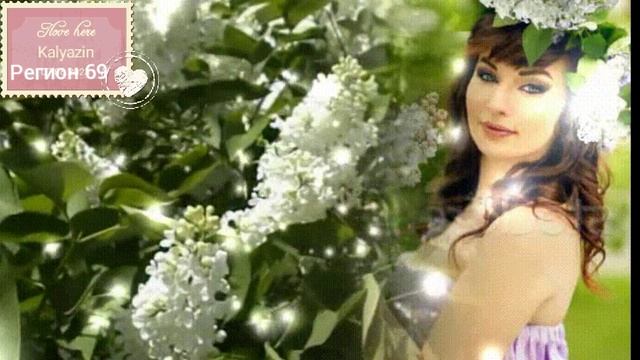 БЕЛАЯ СИРЕНЬ... смотреть онлайн