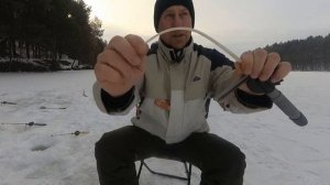 Ловля КАРПА зимой на мормышку. Все тонкости