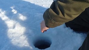 Зимняя рыбалка на ИШИМЕ / Рыбалка на щуку !!!