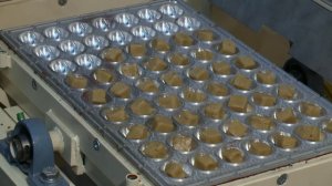 Кондитерская печь ПК-2 (Орешница)