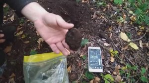 Прогулка в Тимирязевском парке. Обнаружил радиоактивность.mp4